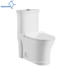 Aquacubic New Design Style Washdown Gravity Flushing One Piece Toilet